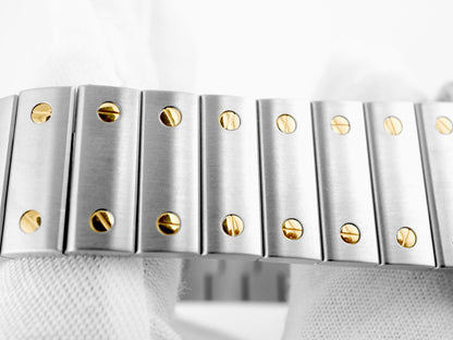 Cartier Santos de Cartier Large Silver Dial on Bracelet W2SA0009 Complete 2025