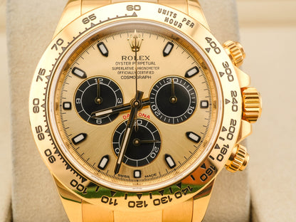 Rolex Daytona Champagne And Index Dial on Oyster 116508 Card 2017