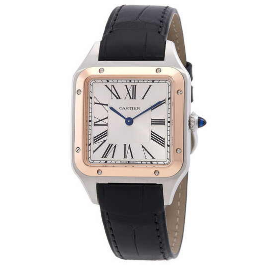 Cartier Santos Dumont Small Silver Dial on Leather Strap W2SA0038 Complete 2026